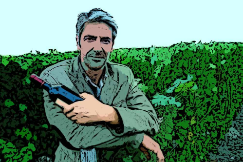 Michael Asimos: How I Turned My Wine Passion Into A Career?