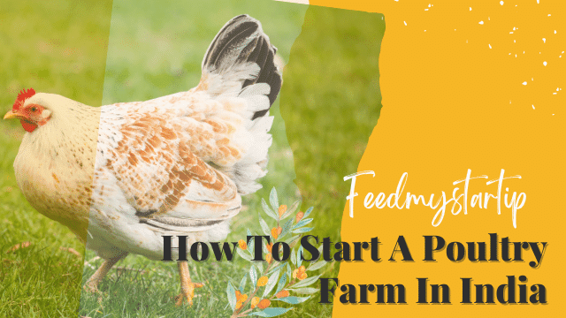 How To Start A Poultry Farm In India